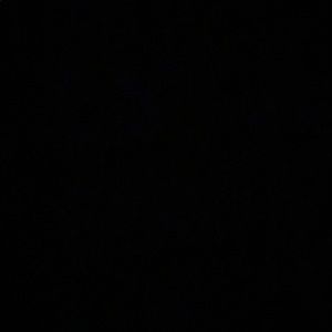 Meet your Posher, Brynn